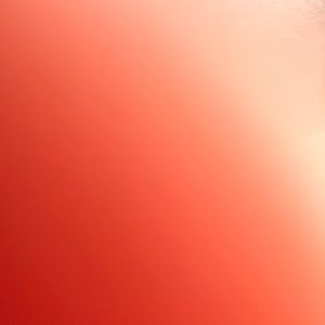 Meet your Posher, Riley